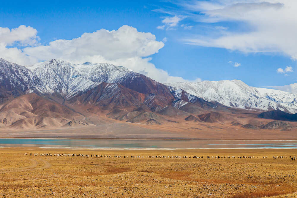 Qinghai-Tibet Plateau