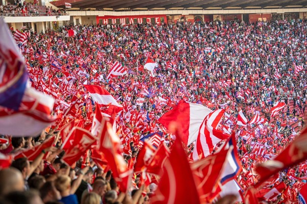 Rajko Mitic stadium